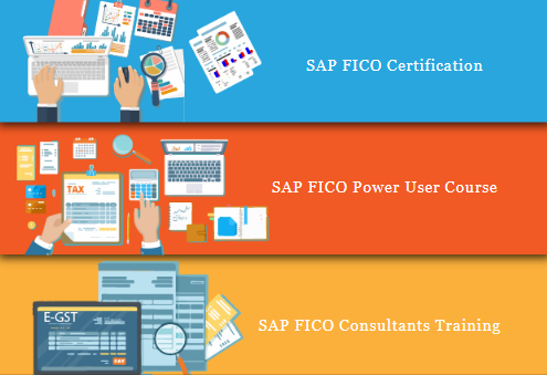 sap-fico-classes-in-laxmi-nagar-delhi-sla-institute-with-accounting-taxation-tally-gst-certification-100-job-free-demo-classes-big-0