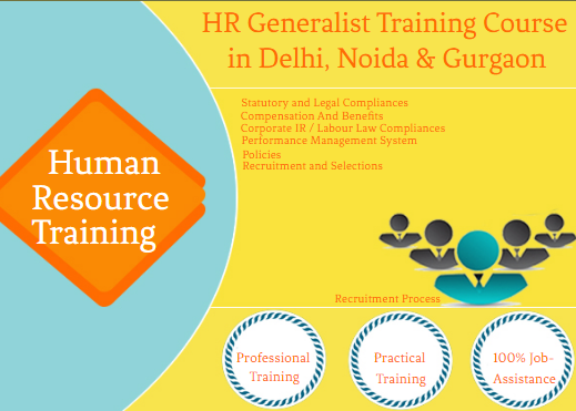 hr-generalist-certification-in-laxmi-nagar-delhi-sla-institute-with-free-sap-hcm-hr-analytics-classes-100-job-free-demo-classes-big-0