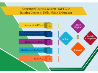 Financial Modeling Certification Course in Delhi,110036. Best Online Live Financial Analyst Training in Alighar by IIT Faculty , [ 100% Job in MNC]