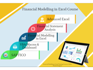 Financial Modeling Certification Course in Delhi, 110017. Best "Online Financial Analyst Training Course" in Pune by IIT Faculty , [ 100% Job in MNC]